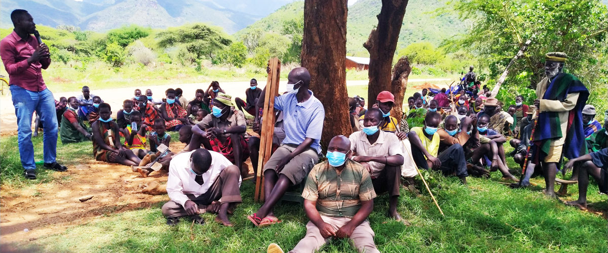 About Fidelitas Scientific