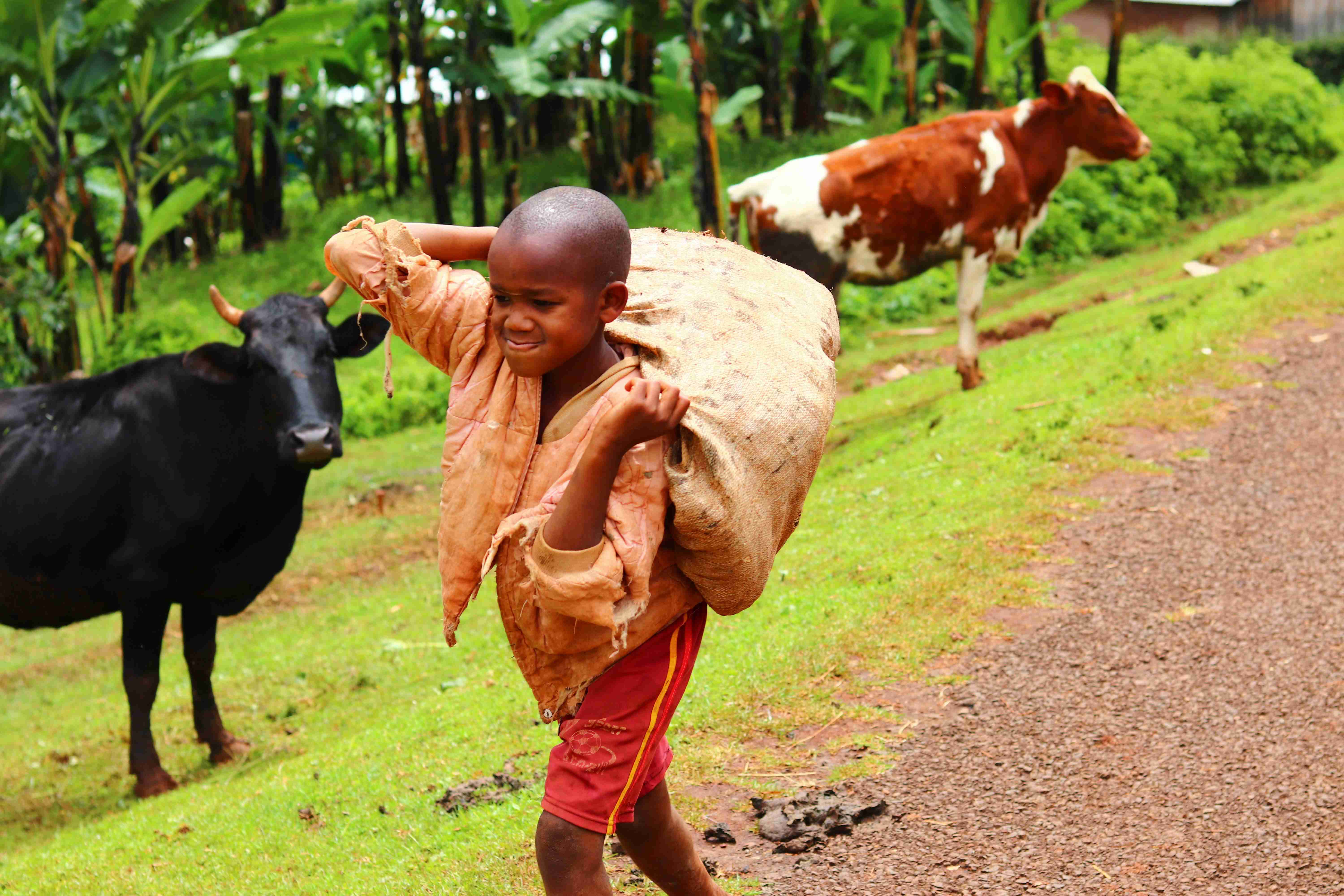 Ensuring *Sustainability*